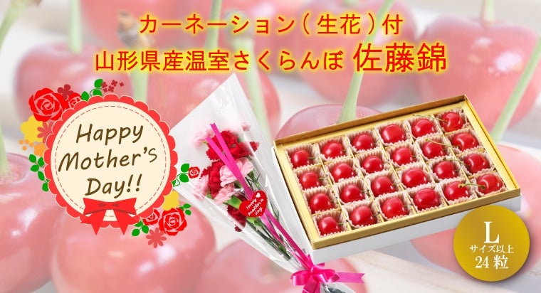 �y��̓��z�R�`���Y ������������ ������24�����J�[�l�[�V����