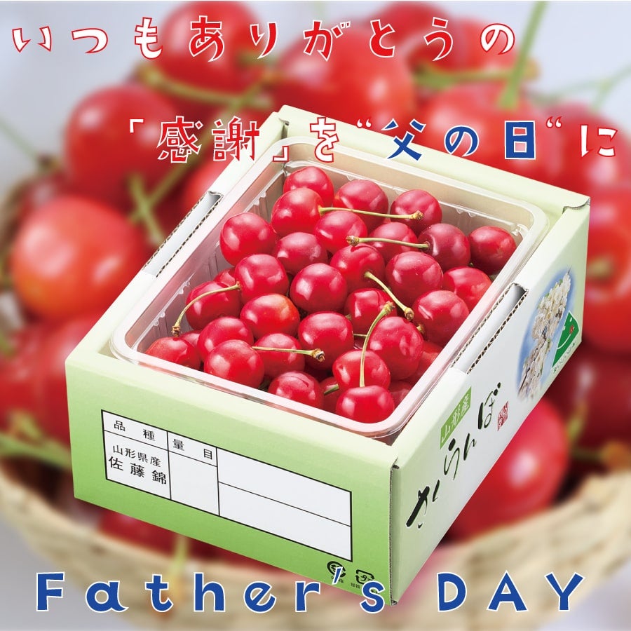  y̓z@R`Y ڍс@350ol