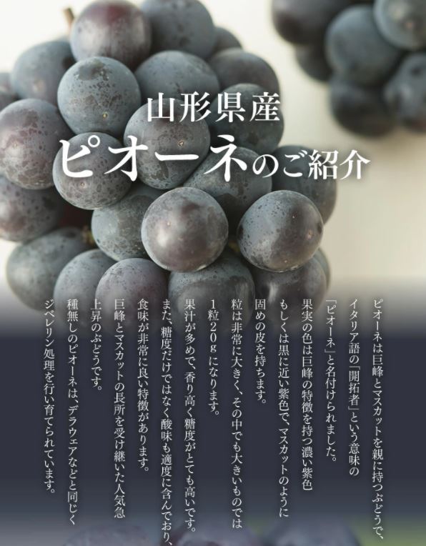 【秀品】山形県産ピオーネ約1kg(2房)
