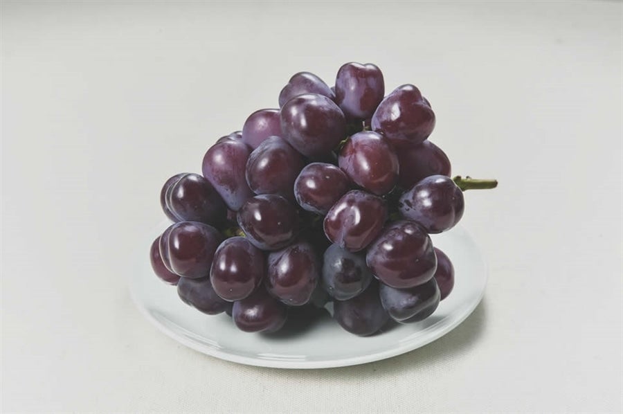 【秀品】山形県産ブラックシャインマスカット富士の輝 約800g