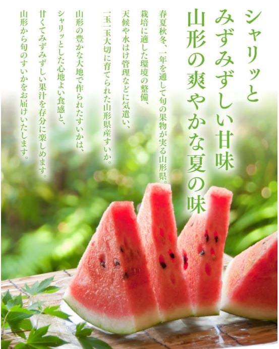小玉スイカ姫甘泉4玉入り‼️甘くて美味しい！北海道東北各県沖縄発送不可 楽天市場】【ふるさと納税】小玉スイカ 姫甘泉 3～4玉入 7kg以上