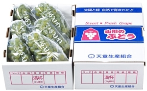 ぶどう ナイアガラ約2kg 山形県産 ※9月上旬〜下旬頃発送予定
