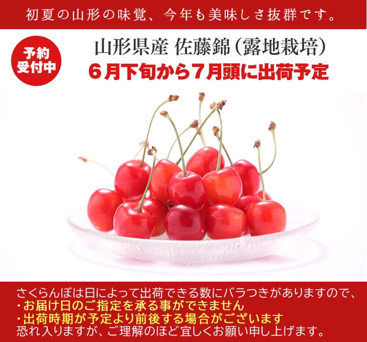 秀品さくらんぼ佐藤錦1kg L玉【クール便】: ＪＡてんどうフーズ|【ＪＡ