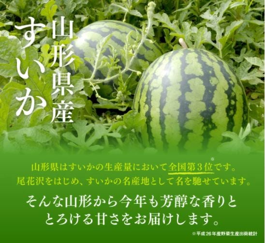 訳あり】小玉すいか姫甘泉約3～4㎏2玉入り: JAてんどうフーズ