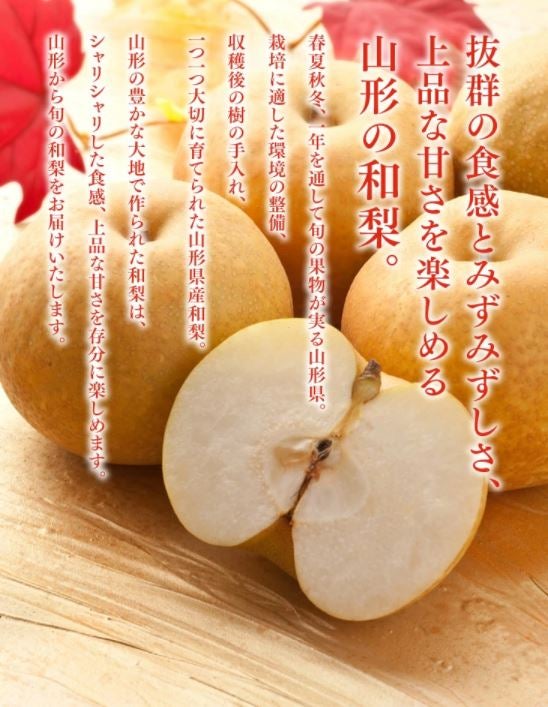 訳あり】山形県酒田市産刈谷梨 約2.5kg: ＪＡてんどうフーズ|【ＪＡタウン】産地直送 通販 お取り寄せ