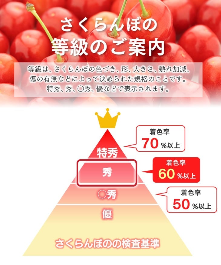 秀品さくらんぼ佐藤錦フードパック2P【クール便】
