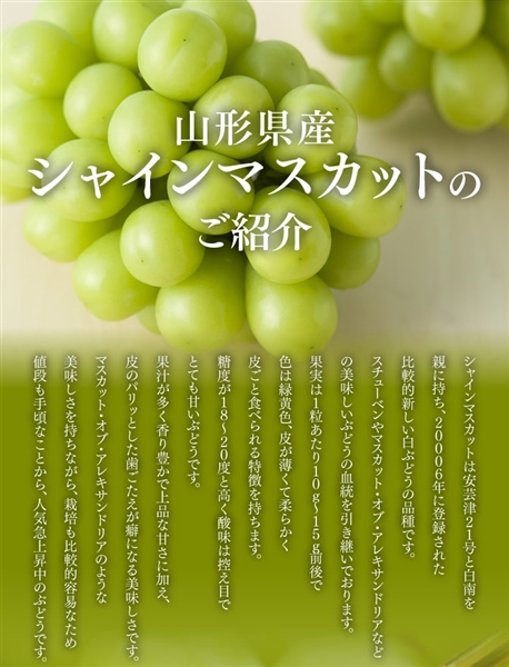 【敬老の日遅れてごめんね】山形県産シャインマスカット約500g×2 カード付き ※9/20以降順次出荷予定