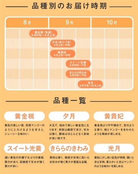 山形県産白桃＆黄桃詰め合わせ 約3kg（8～12玉）秀品 ※8月下旬以降発送