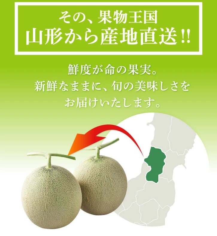お中元】砂丘メロン2.5kg（2玉）: ＪＡてんどうフーズ|【ＪＡタウン