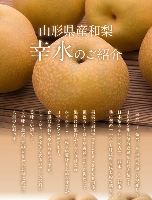 訳あり】山形県酒田市産刈谷梨 約2.5kg: ＪＡてんどうフーズ|【ＪＡタウン】産地直送 通販 お取り寄せ
