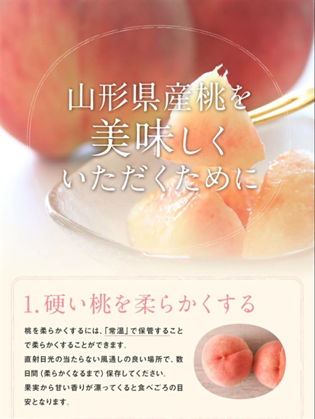 山形県産白桃＆黄桃詰め合わせ 約3kg（8～12玉）秀品 ※8月下旬以降発送