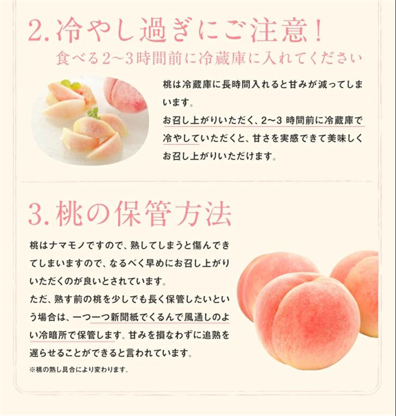 山形県産白桃＆黄桃詰め合わせ 約3kg（8～12玉）秀品 ※8月下旬以降発送