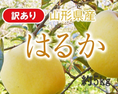 訳ありはるかりんご約5kg