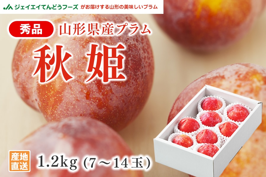 【ティム】信州中野 約1.4〜1.5kg前後 おまけ付 敬老の日 秀品山形県産プラム秋姫約1.2kg: JAてんどうフーズ|【JA