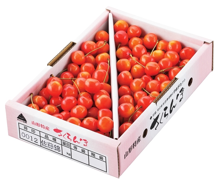 ご家庭用】さくらんぼ佐藤錦1kg×2箱 バラ詰め M玉サイズ以上 山形県産