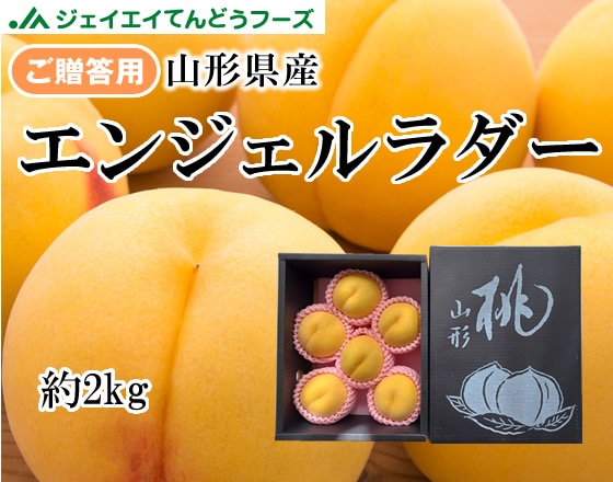 希少品種★山形県産黄桃エンジェルラダー 約2kg ※順次発送