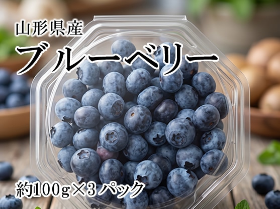 山形県産ブルーベリー 100g×3パック 粒数おまかせ: JAてんどうフーズ
