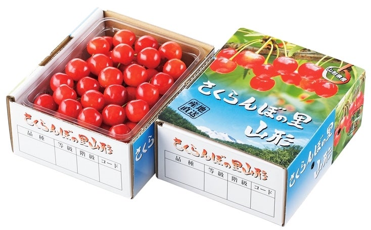ハウスさくらんぼ佐藤錦 バラパック 500g: JAてんどうフーズ
