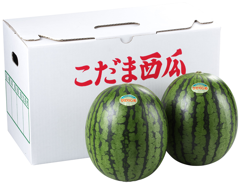 秀品】小玉すいかピノガール2玉 山形県庄内産: JAてんどうフーズ