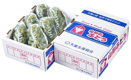 ぶどう ナイアガラ約2kg 山形県産 ※9月上旬〜下旬頃発送予定
