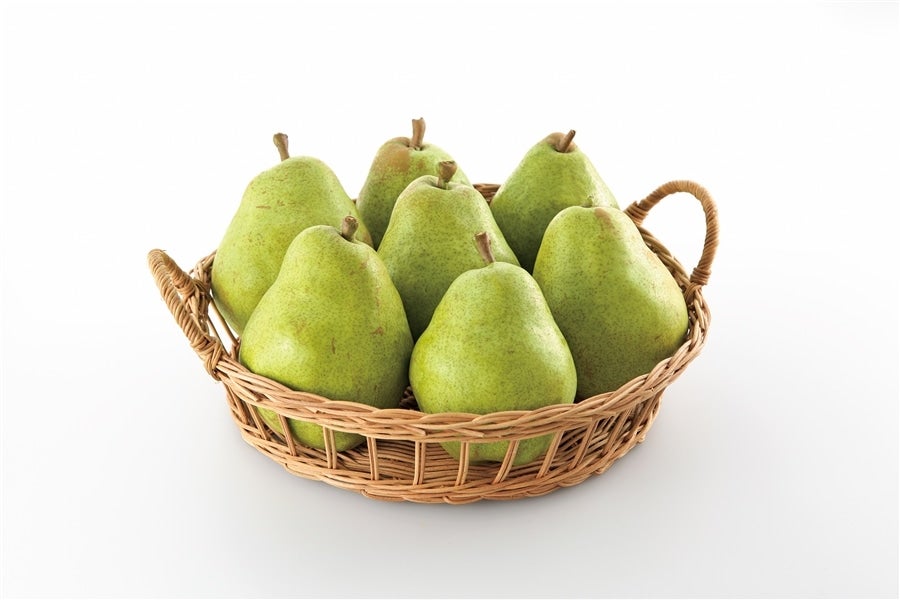 山形県産西洋梨バラード約5kg 秀以上