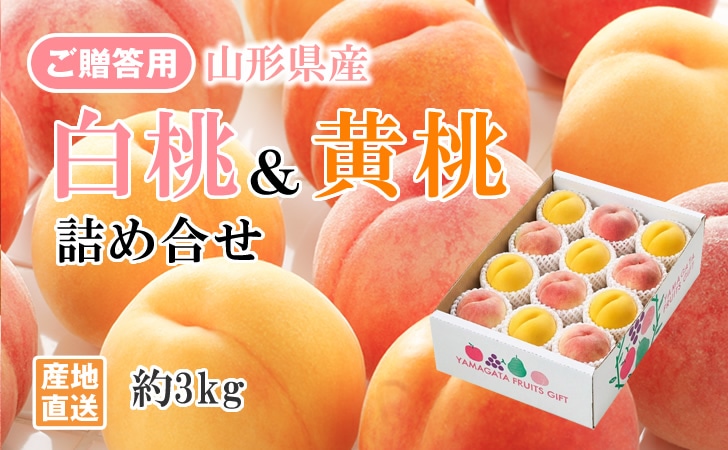 山形県産白桃＆黄桃詰め合わせ 約3kg（8～12玉）秀品 ※8月下旬以降発送