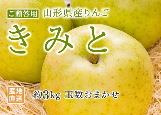 秀品山形県産りんごきみと約3kg