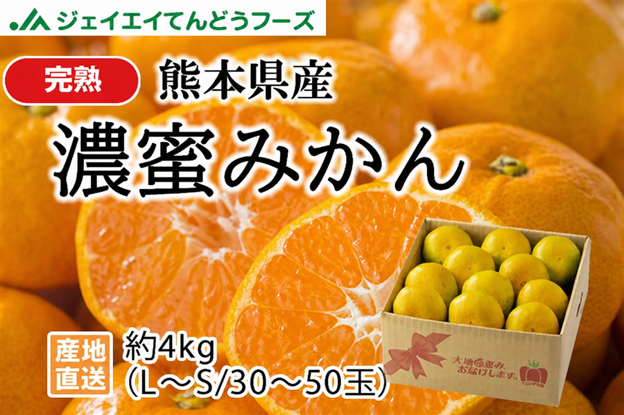 熊本県産完熟濃蜜みかん約4kg ※11月上旬以降発送予定: JAてんどう