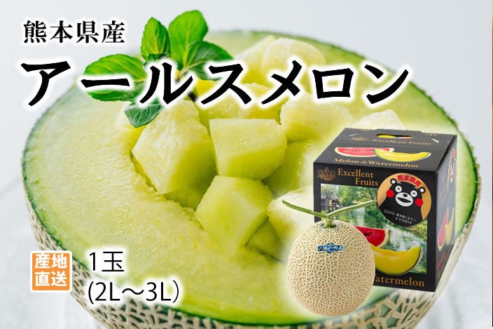 熊本県産アールスメロン1玉
