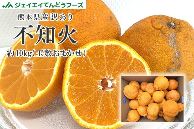 【訳あり】熊本県産不知火おでこ 約10kg お買得 露地栽培