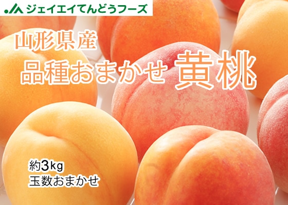 秀品】山形県産品種おまかせ黄桃約3kg 秋のJAタウン祭り: JAてんどう