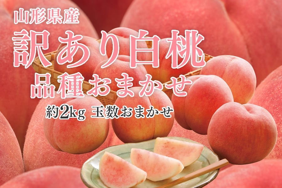 y󂠂zR`Y  2kg