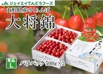 �������ڑ叫�уo���p�b�N��500g×2�@�R�`���Y