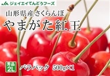 Gi܂g2LTCY500g