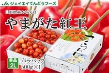 �G�i��܂����g��2L�T�C�Y��500g×2�@�R�`���Y