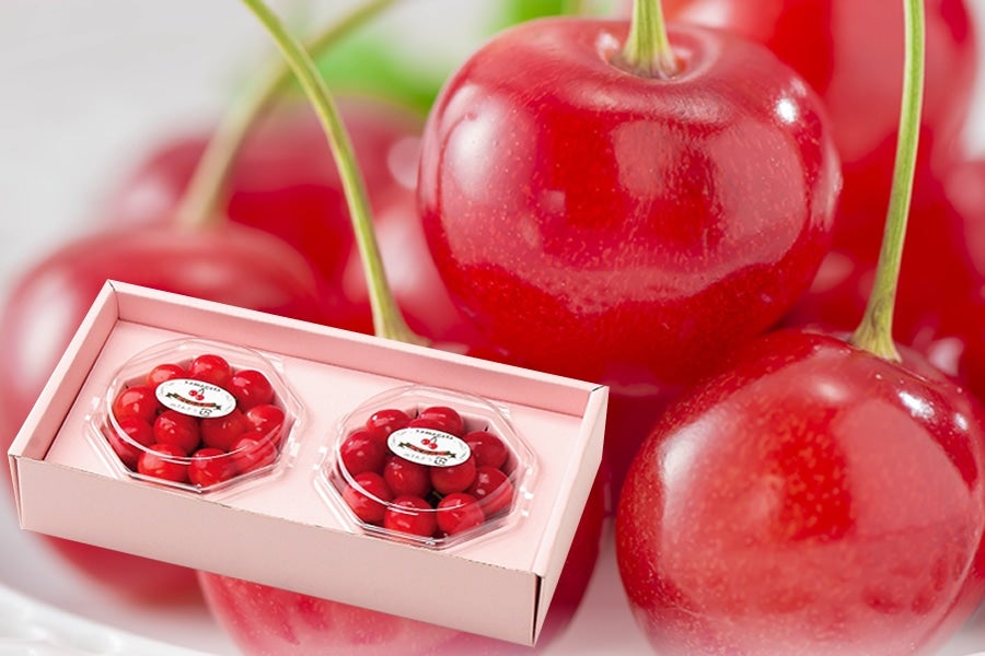 �n�E�X�������ڍ����� �_�C���p�b�N 2P�EM�T�C�Y�@�R�`���Y�@��4����{�ȍ~�����\��