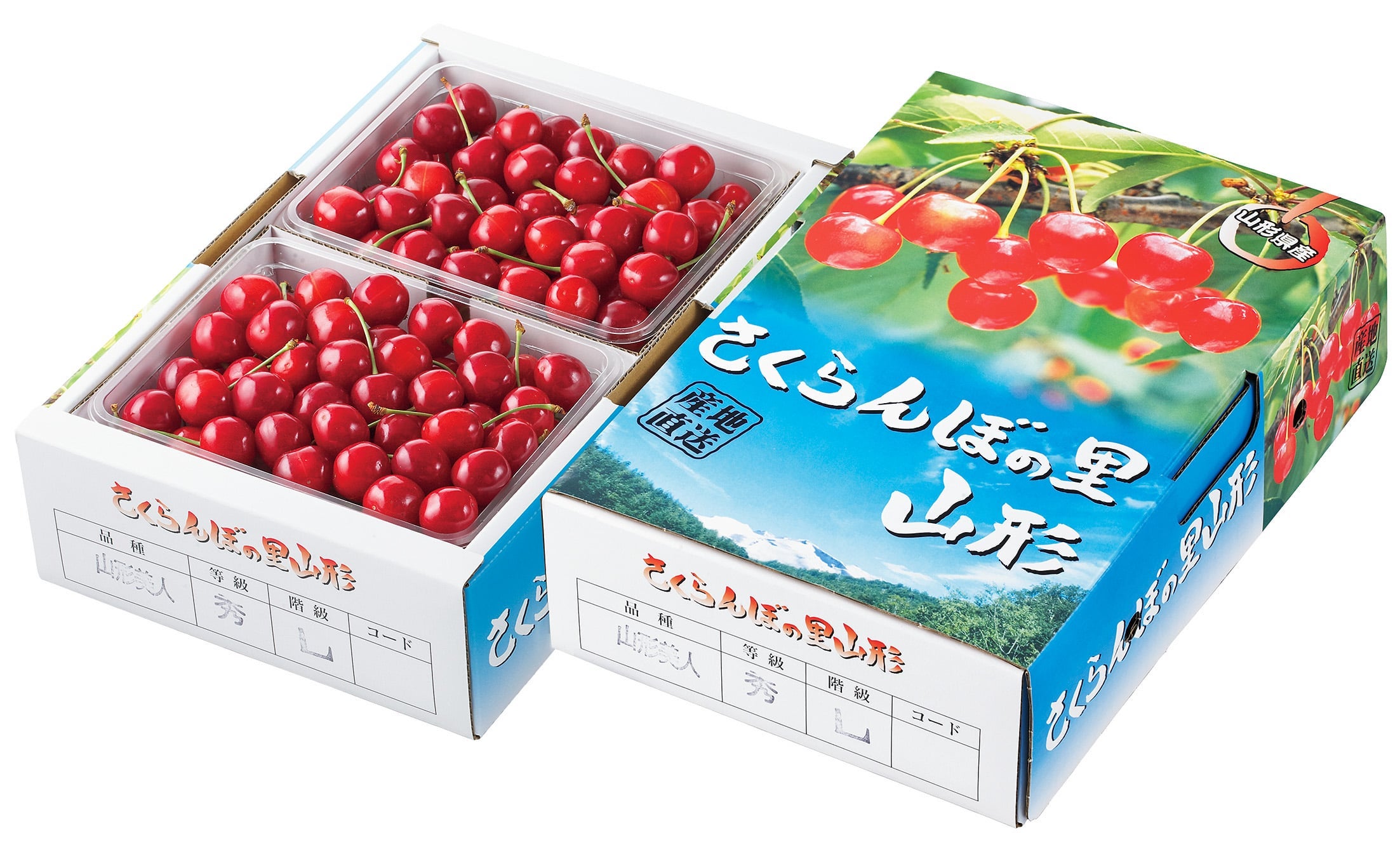 ڎR`lopbN1kg(500×2PK)