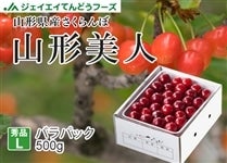  �������ڎR�`���l�o���p�b�N��500g�@�R�`���Y