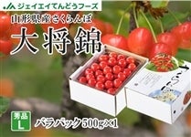 �������ڑ叫�уo���p�b�N��500g�@�R�`���Y