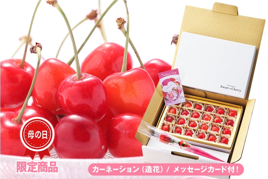 �y��̓��M�t�g�z�n�E�X�������ڍ����� L�ʉَq������@�R�`���Y�@�t��JA�^�E���Ղ�