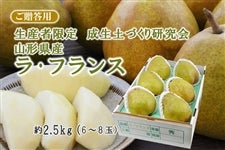 成生土づくり研究会山形県産 ラ・フランス約2.5kg(6〜8玉) ※11月中旬〜12月中旬に発送予定