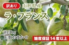 �y���x�ۏ؁z�󂠂胉�E�t�����X��3kg�@�ʐ����܂���