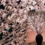 �[������60�`80�p×��10�{�@���N��������