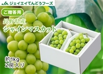 秀品】長野県産シャインマスカット約500g×2 お中元 ※7月下旬以降発送