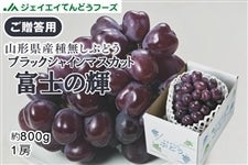 yGizR`YubNVC}XJbgxm̋P@800g