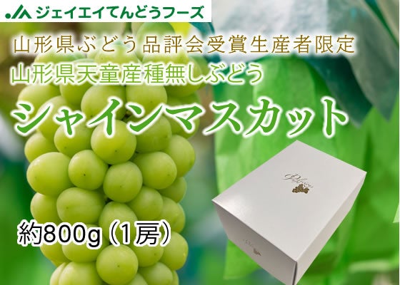 yGizYҌ R`VYVC}XJbg800g 1[ [iϔj