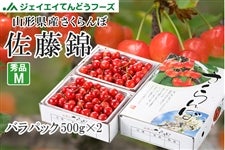 �G�i�������ڍ�����M�ʃT�C�Y500×2�@�R�`���Y�y�N�[���ցz