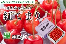 �������ڍg�Ă܂��500g�i�|��������j�����p�@�R�`���Y�@�y�N�[���ցz