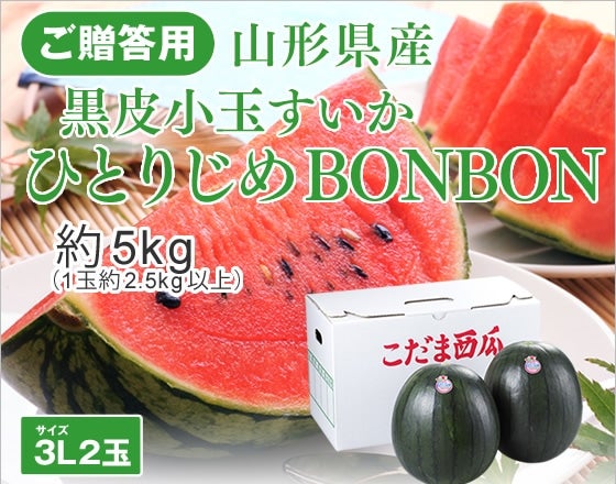 珬ʂwЂƂ肶BONBONx3L2ʁi5kgjR`Y