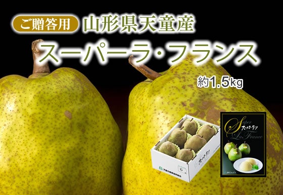 X[p[EtX1.5kg@R`VY@11{`12{̊ԓ